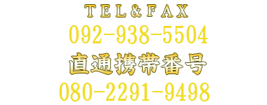 3000円以上購入で送料無料